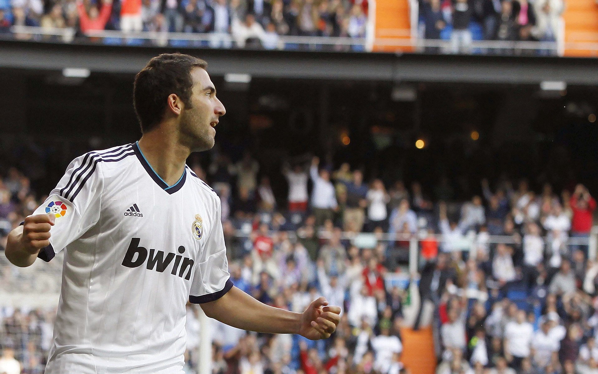 体育粉丝文化解析